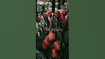 #ياسر_الدوسري #اكسبلور #yasseraldossary #ياسر_الدوسري #اكسبلور #تلاوات #تلاوات #راحة_نفسية #لايك