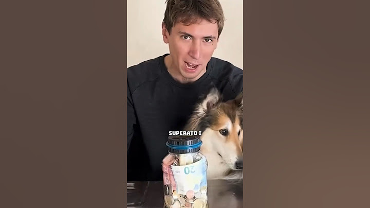 QUANTI SOLDI avremo RACCOLTO per BENEFICIENZA?🧐 #dog #cani #funny #animali #doglover