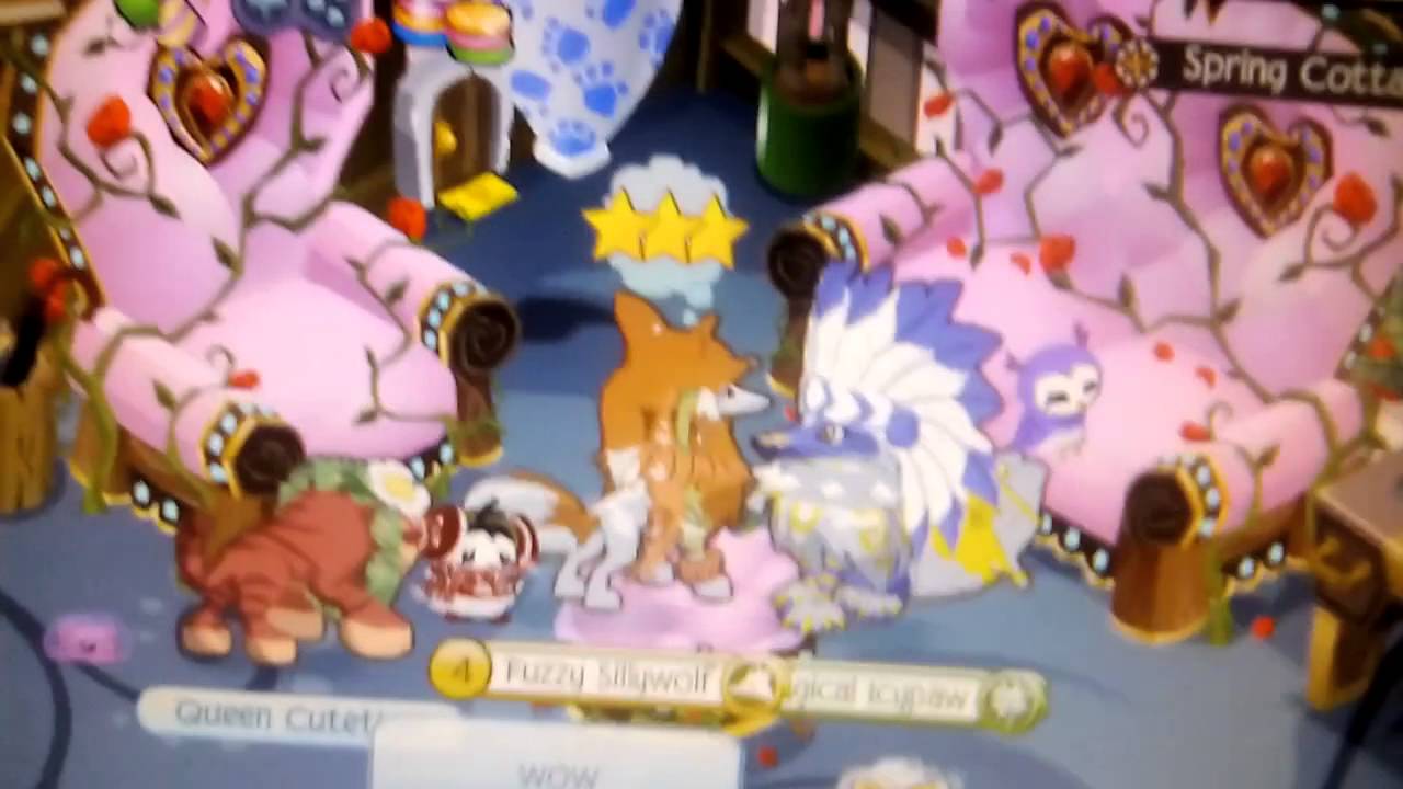 Animal jam username glitch and real ajhq?
