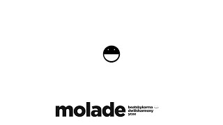 Ycee - Molade (Feat. Beatsbykarma, Dwillsharmony) [Official Audio] |G46 AFRO BEATS