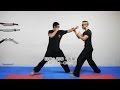 詠春應用 - 快速揮擊之基本對應技巧 Wing Chun vs Strike Mode - Basic Skill