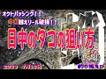 オクトパッシング！！キロ越えリール破損！！　日中のタコの狙い方