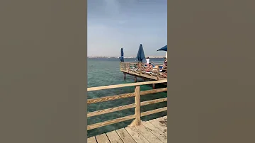 АКУЛЫ в Египте🦈плавают прямо рядом с туристами в Хургаде 😱 Пиратская Жизнь - Нина и Вовчик #shorts