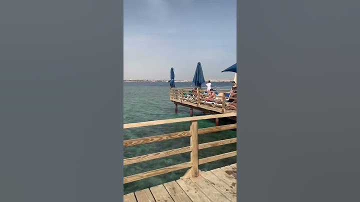 АКУЛЫ в Египте🦈плавают прямо рядом с туристами в Хургаде 😱 Пиратская Жизнь - Нина и Вовчик #shorts