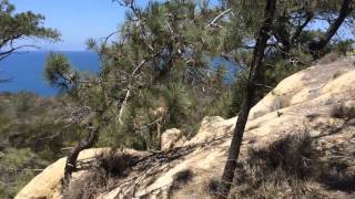 Mark Fehlman Day 3 Video 1