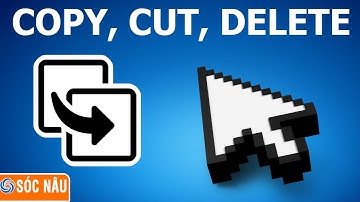 Cách sao chép, di chuyển, xóa, đổi tên tập tin/thư mục