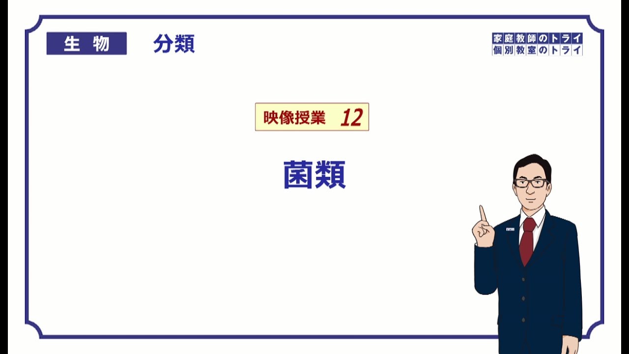 【高校生物】　分類12　菌類（20分）