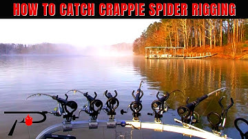 How To Catch Crappie Spider Rigging