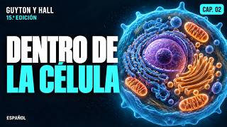 Capítulo 2: La Célula y Sus Funciones | Fisiología Médica — Guyton & Hall 15.ª Ed.
