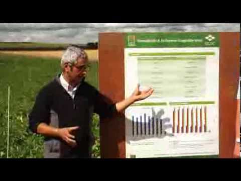 council of states Fungicides -- Potato Council demonstration, Slingsby