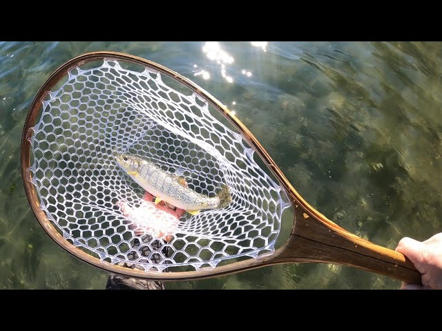 Hood Canal Cutthroat on the Fly 