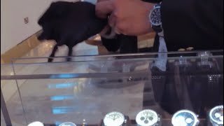 Millionaire Watches Collection💰💵 Journey To Doha Qatar 🇶🇦