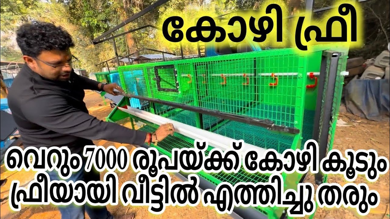 വെറും 7000 രൂപയ്ക്ക് കോഴി കൂടും കോഴിയും ഫ്രീയായി വീട്ടിലെത്തിച്ചു തരും chicken kage