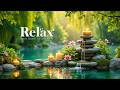 Piano Relaxing Music for Healing + Sleeping 🌿 Soothing Music and Nature Sounds, Stress Relief Music
