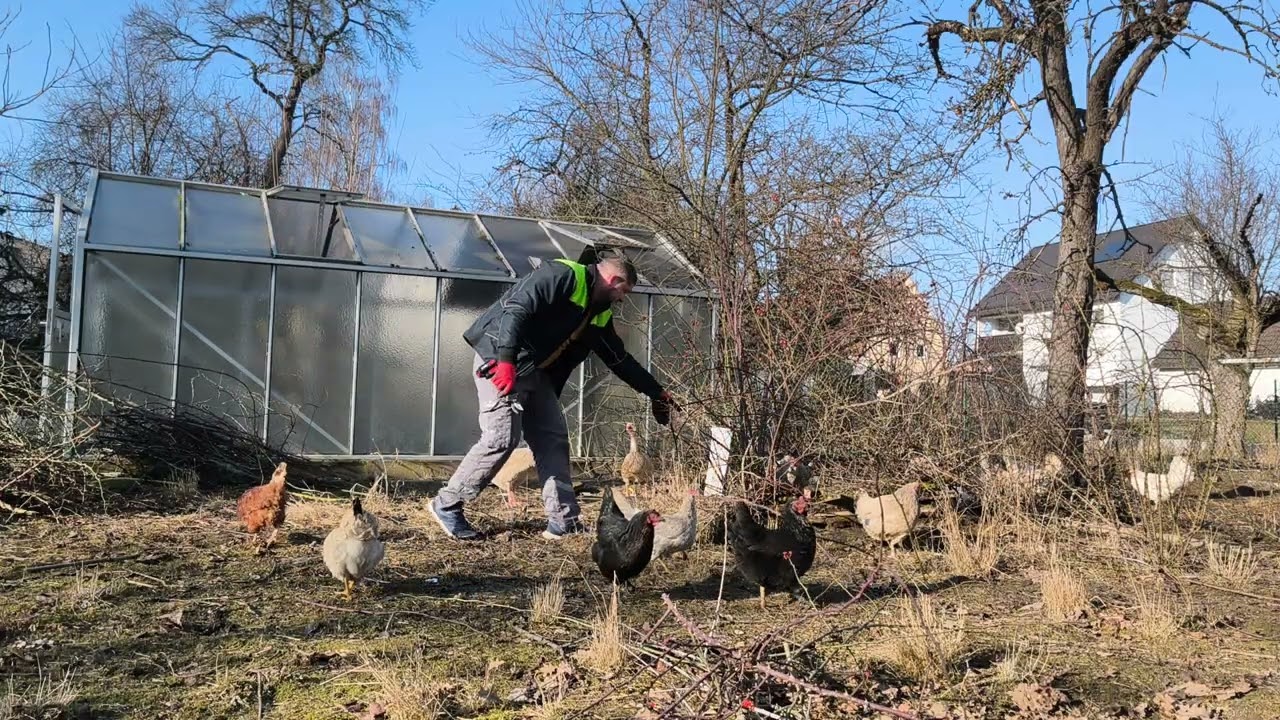 Curățare in grădina partea 2