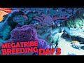 Setting Up Our Megatribe Breeding On Day 3! | Wiu Wiu | ARK Ascended Official PvP