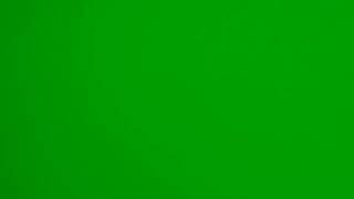 Green Screen 1 Minutes | Solid Green Background Lighting, Full HD Neon Display & Screensaver