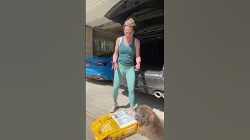 How to Lift & Carry Heavy Objects WITHOUT Getting Hurt! Avoid Back Injuries 👍