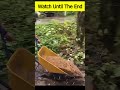 Watch this guy do a Flip  #funny #foryou #shorts #funnyshorts