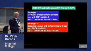 Dr  BARNES COPD 2013