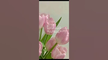 تلاوة من سورة النحل 🌿قرآن كريم 🌿القارئ عبد الرحمن مسعد