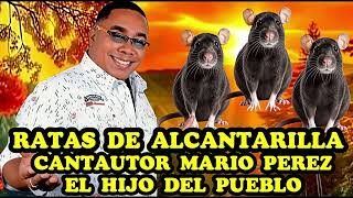 RATAS DE ALCANTARILLA : MARIO PEREZ  & JUANK CARRASCAL