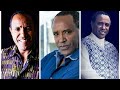 Best of Tsehaye Yohannes Nonstop collection