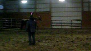 yells horse lesson 031