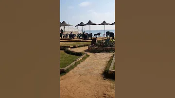 احلا مصيف في فايد 