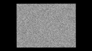 Anonymous Vegan TV Anonymous Vegan TV