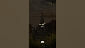 إبداع خالد الجليل من سورة يوسف 🤍🥀