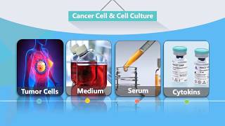 Oncology Research Services