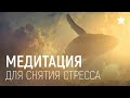 ЛУЧШАЯ МЕДИТАЦИЯ для снятия стресса - расслабляем тело и избавляемся от тревоги