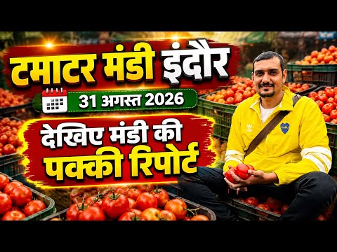 टमाटर का ताज़ा भाव इंदौर मंडी mp 🍅// sabji mandi indore #tmatar #mandi