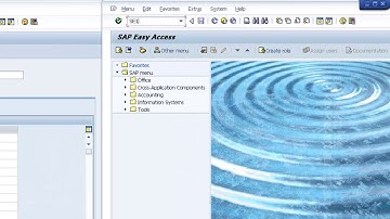 SAP ABAP - Creando un Dominio - Parte 1