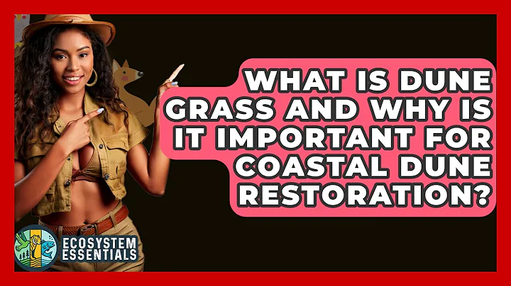 What Is Dune Grass And Why Is It Important For Coastal Dune Restoration? - Ecosystem Essentials