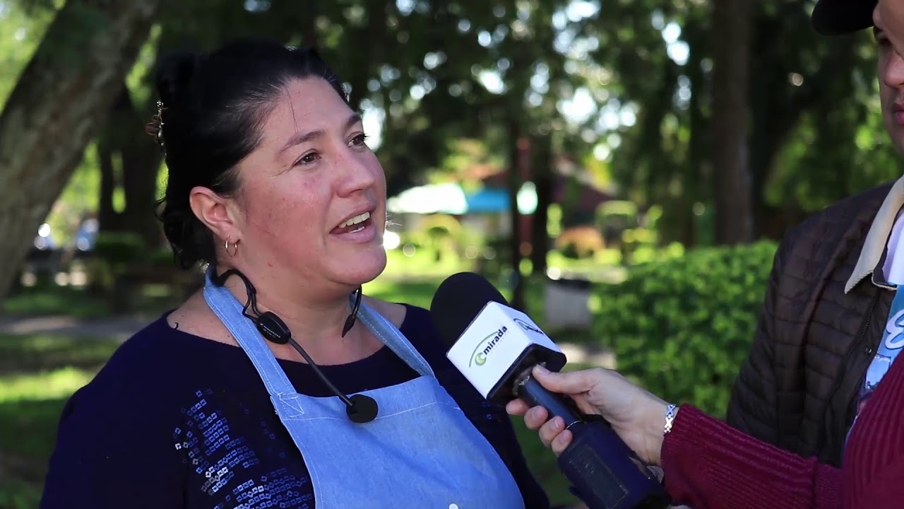 VILLA URQUIZA vivo y85