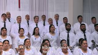 E.F.K.S. Mangere Bridge Auckland NZ 2022 - Pese 183