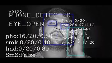 Phone Usage Detection