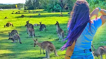 Qual cidade tem canguru?