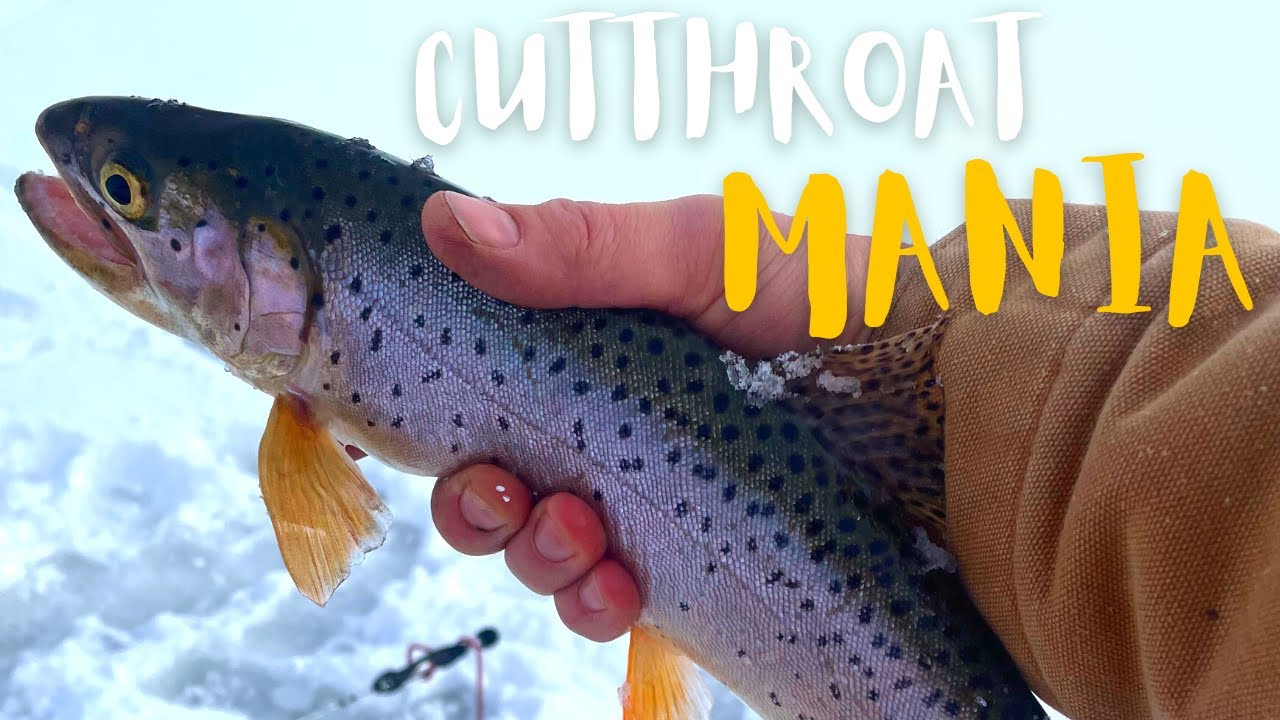 Ice Fishing SCOFIELD Reservoir Utah Fishing Was On FIRE 🔥 YouTube