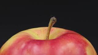 Spinning apple close-up on a black background.