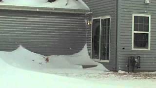 2011 Blizzard - Crest Hill, IL