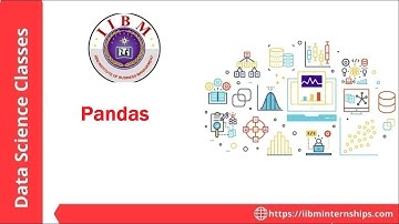 IIBM Institute | Python | Pandas
