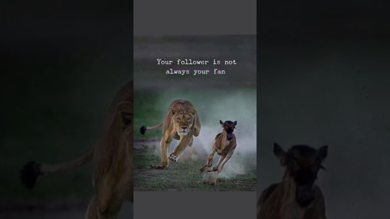 motivation hacks about fan 