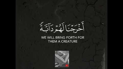 وإذا وقع القول عليهم أخرجنا لهم دابة من الأرض تكلمهم..📚|القارئ اسلام صبحي