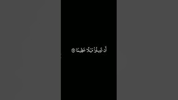 كروما آيات قرانية القارئ : محمد اللحيدان | سورة النساء | آية ٢٧