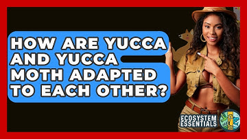 How Are Yucca And Yucca Moth Adapted To Each Other? - Ecosystem Essentials