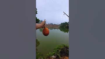 Special Fishing Lures 🎣 #fishing #cauca #caucagiaitri #shorts