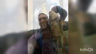 Muito Peixe Na Cachoeira Da Fumaça